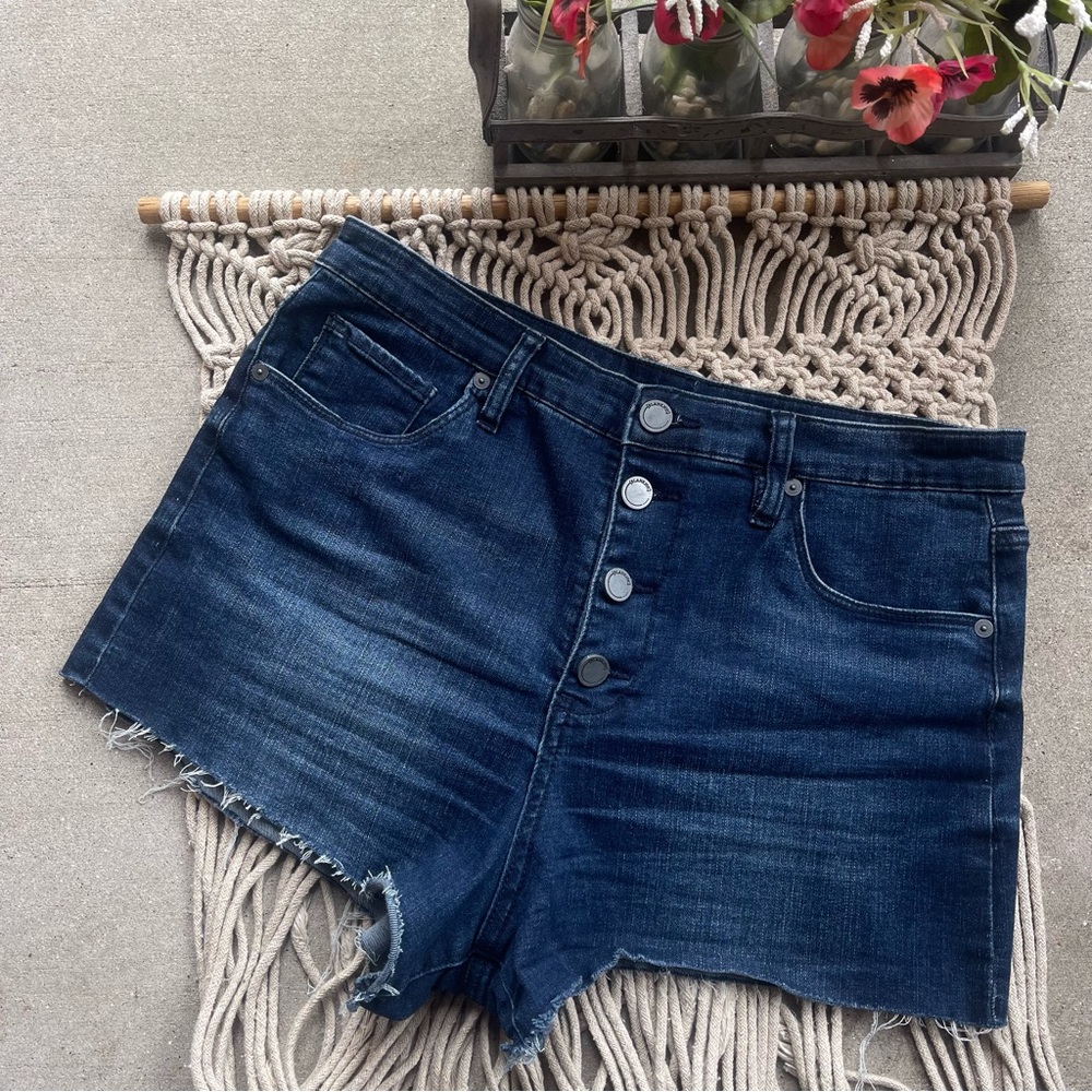 Blank NYC High Rise Jean Shorts Size 29